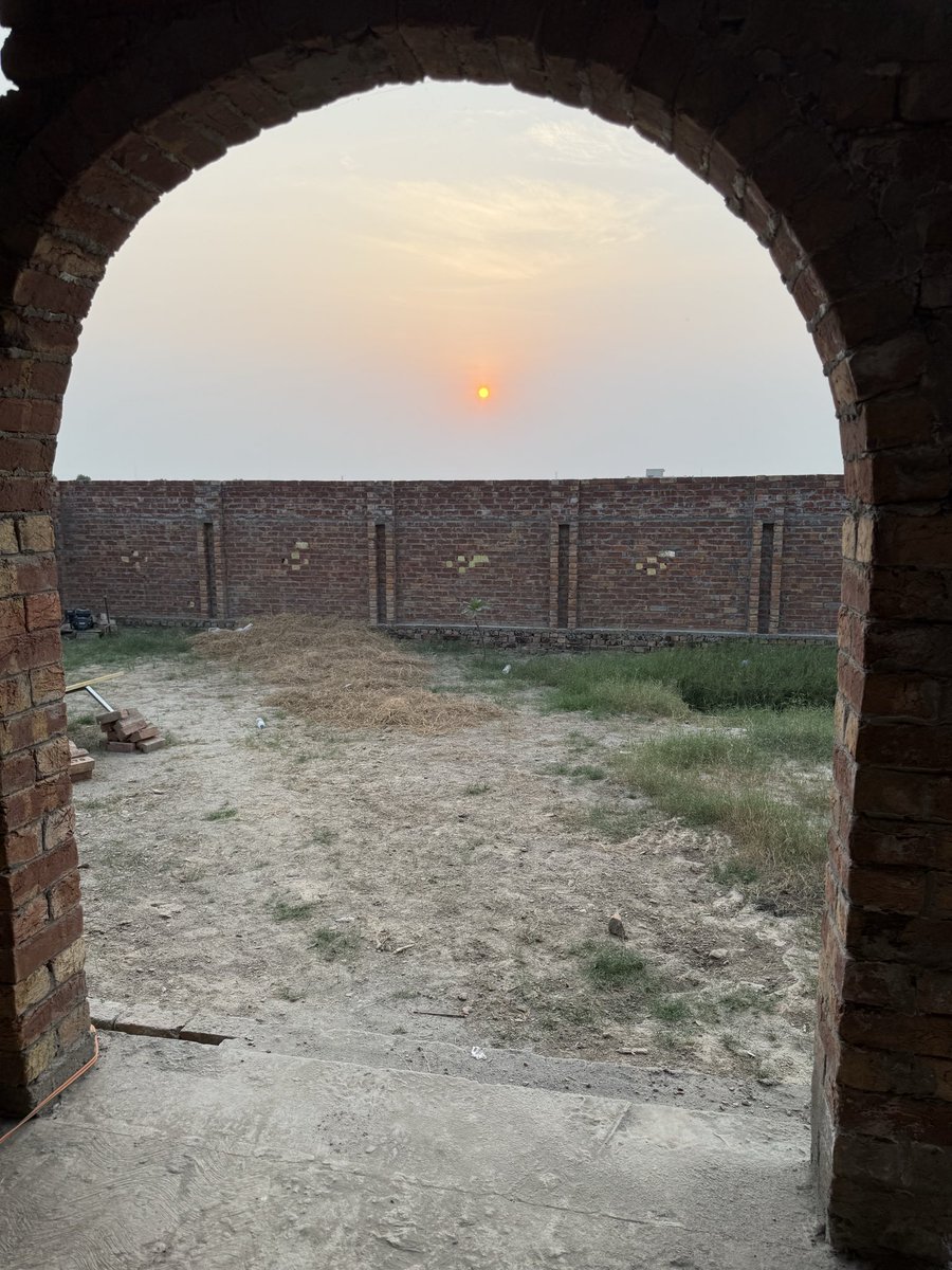 maaria_waseem's tweet photo. First visitor at my new house 
Beautiful Neelkanth 🩵 https://t.co/bBCgdijnMP