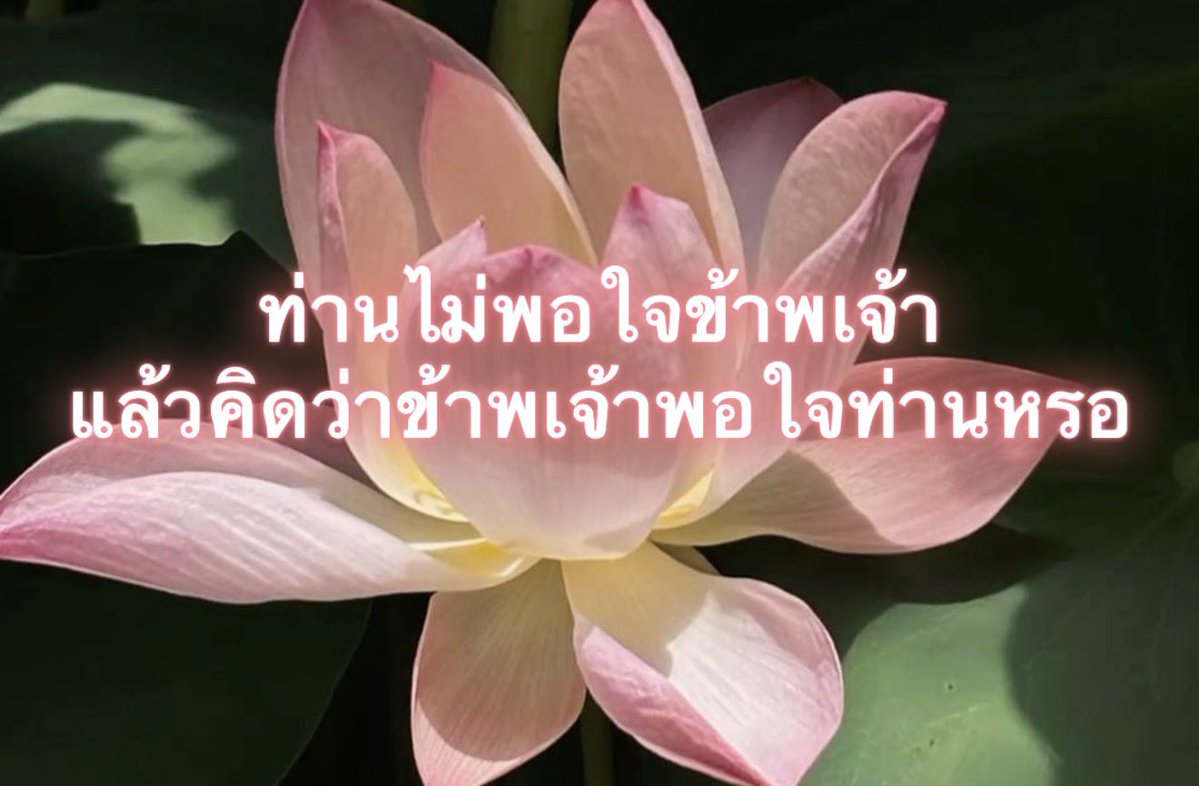 Iaunza's tweet photo. นั้นสิ่ https://t.co/iFNwNLUzwP