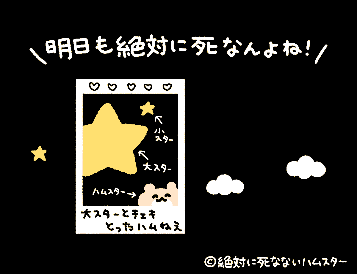 ZETSUHAMU's tweet photo. 今夜も絶ハムスターが見守っているぞ https://t.co/QOVk5G2bZM