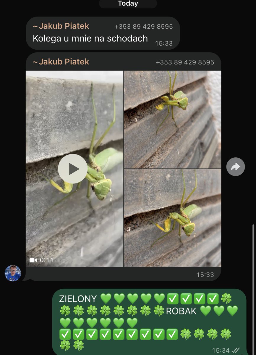 totalradioheart's tweet photo. ZIELONY ROBAK✅✅✅✅✅✅✅✅✅✅✅✅✅ https://t.co/S1dWFN3HJQ