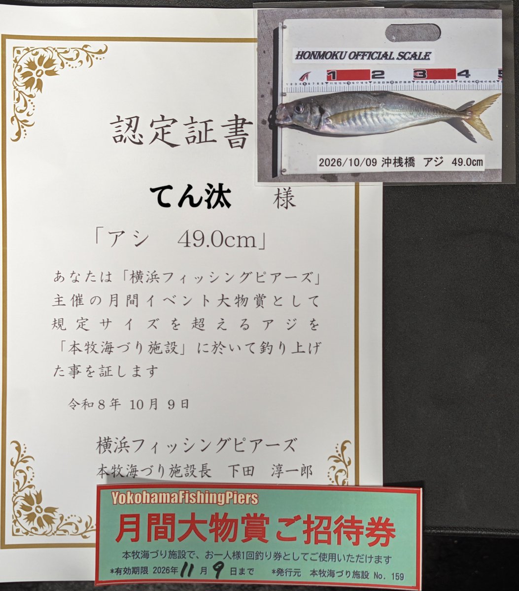 Tenta_Tender's tweet photo. 結果発表ー！！🐟️
正解はショゴでも、イナダでもなく
「アジ」でした！

いやもうこれ化け物過ぎる笑
おれの知ってるアジじゃない！

本牧で釣りあげてから沖桟��を渡ってるとき、まるでスーパースターかのごとくみんなに「何つれたの〜すげ〜！」って話しかけられまくったよね☺ https://t.co/Emj7ZCJq5x