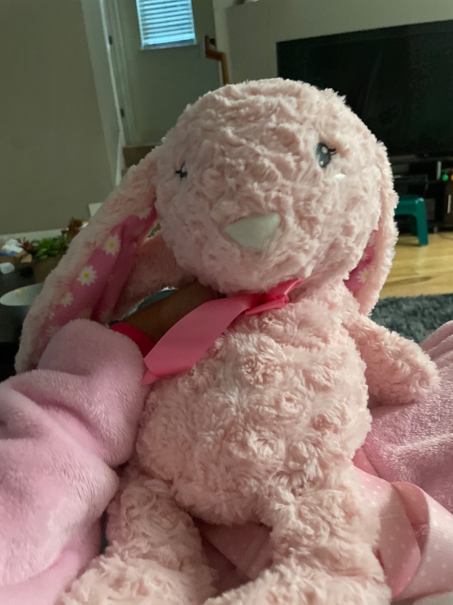 devesful_'s tweet photo. meet my new bunny! her name is pretypriincess https://t.co/VmCntSZcto