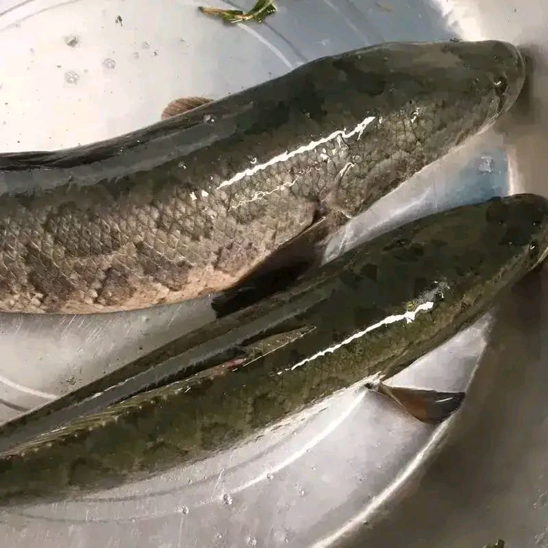 Yanira7rhz's tweet photo. [El aroma de pescado me hace tragar duro sin querer]， https://t.co/qTYSaFICEJ