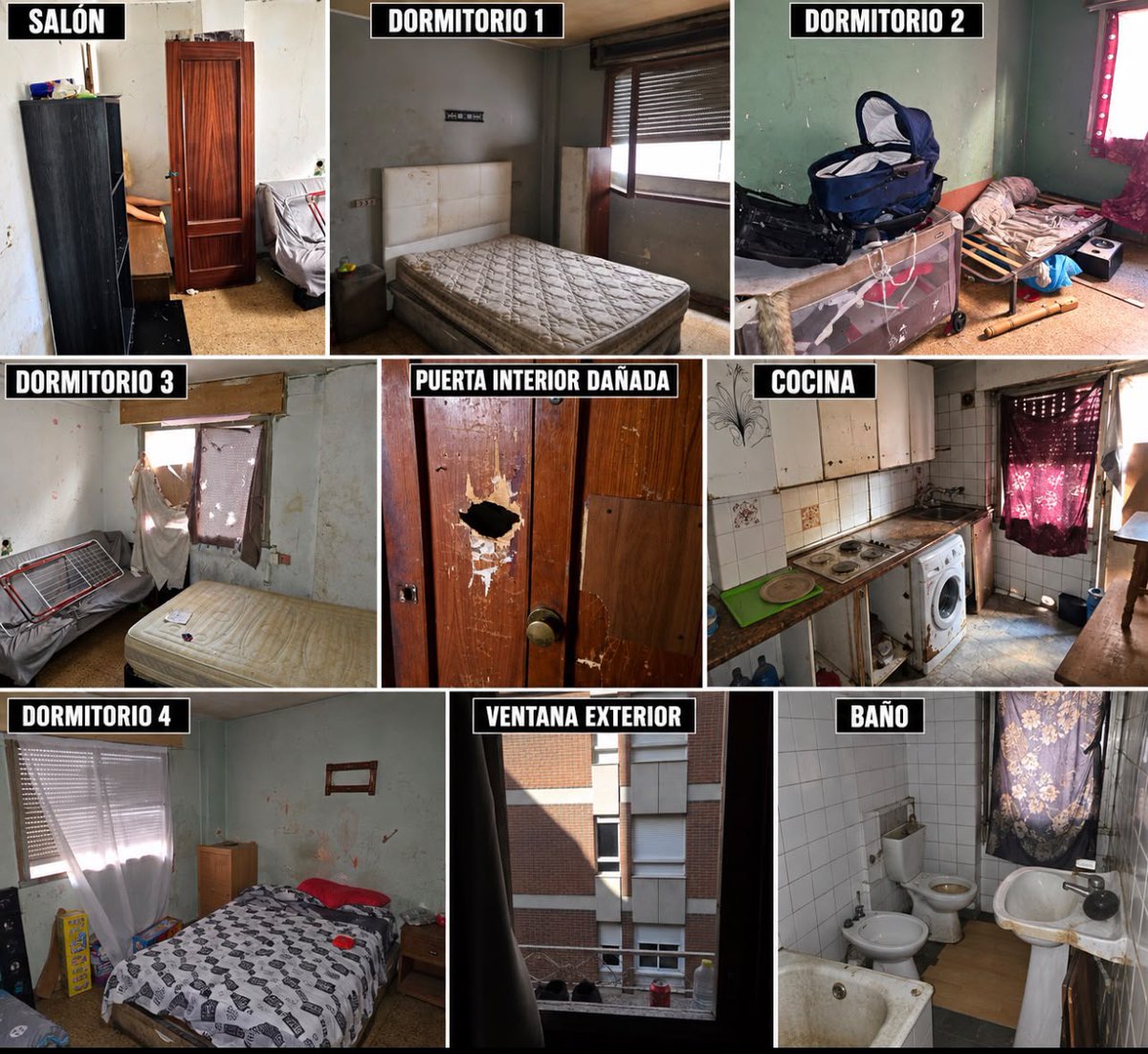 APROVIJ's tweet photo. 86 AÑOS. Desde 2022 sin cobrar un alquiler de 300 €.
Hoy recupera su vivienda: sin puertas, ventanas, enchufes, agua ni luz. Cocina y baño inservibles.
¡Menos mal que dejaron los tabiques!
Cuatro años de escudo social. La factura, para el propietario.
¿Esto es proteger? https://t.co/PgddX6AIXg