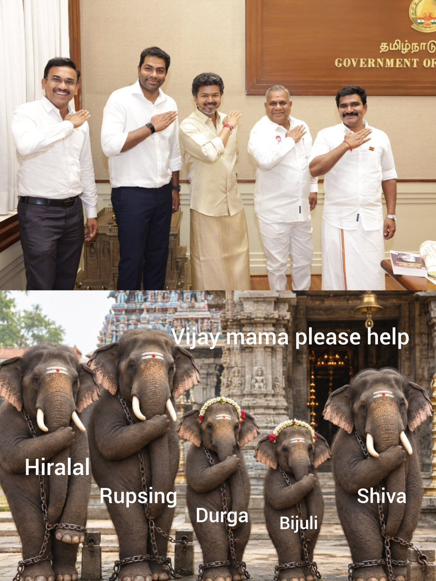 rameshtvk43's tweet photo. @CMOTamilnadu @TVKVijayHQ as you commemorate your electoral wins with this gesture, when can these captive elephant calves expect to be liberated from enslavement and cruelty? You are their uncle too. Please help them ๐
#NoElephantsInTemples
#WhyTheChains
#StopElephantCaptivity
#CaptiveElephantWelfare
#ElephantRehabilitation