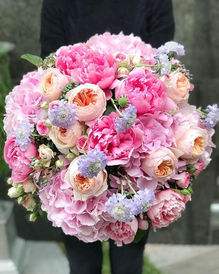 Bloomora80's tweet photo. Beautiful flowers 🌸🌿🌸🌿 https://t.co/i01XL2DHUd