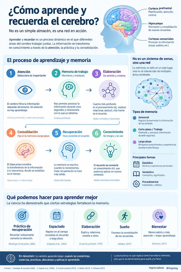 virginiog's tweet photo. Aprender no significa “guardar información” o consultar información con IA  

El cerebro aprende cuando atiende, relaciona, practica, consolida y recupera

La clave no es consumir más información es crear conocimiento  

IA + elaboración + práctica de recuperación + reflexión https://t.co/bPauLwojgm