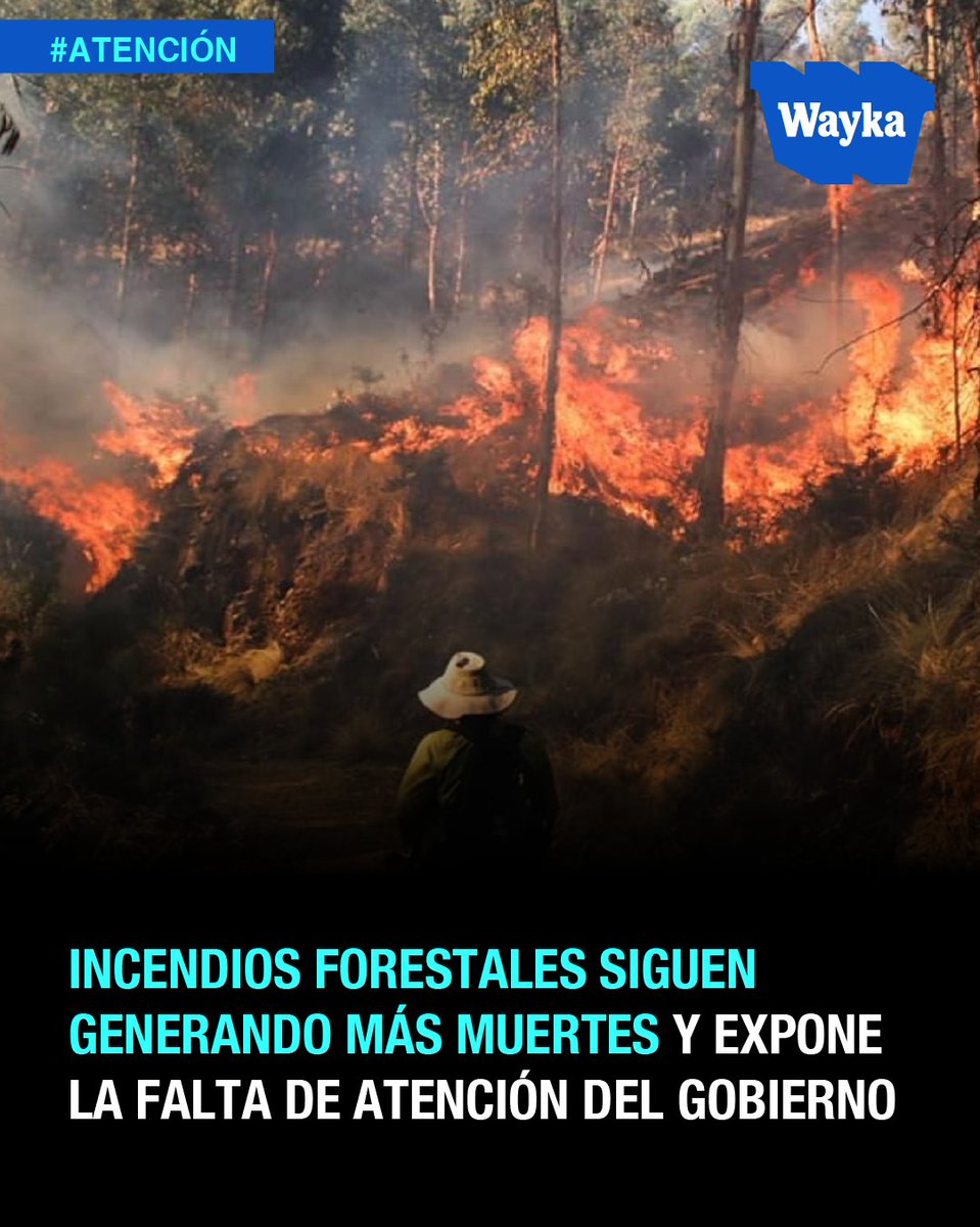 WaykaPeru's tweet photo. #Atención | 🚨 Los incendios forestales siguen avanzando en distintas regiones del Perú y habrían dejado siete personas fallecidas en lo que va de octubre: cinco en Cusco, una en Puno y una en Cajamarca, informa el COEN. Además, el fuego ha arrasado miles de hectáreas de pastizales, destruido viviendas y provocado la muerte de animales. Los incendios son abordados por los bomberos, la Policía, el serenazgo y los ciudadanos.
Ante ello, la Coordinadora Nacional de Derechos Humanos señaló que no se evidencia una respuesta inmediata de la Presidencia, de los ministerios involucrados ni de los gobiernos regionales y exige urgente atención.

La crisis era previsible: en 2024, el Estado aprobó un plan multisectorial para coordinar la prevención y respuesta ante incendios forestales para el periodo 2025-2027.

La situación golpea a Cusco, Apurímac, Ayacucho, Junín y Puno, donde se mantienen focos activos. En Cusco, las autoridades reportan más de 16.000 hectáreas afectadas en lo que va de 2026, por lo que en varias localidades, pobladores y comuneros se han organizado para combatir las llamas, mientras brigadas y equipos de emergencia intentan contener su avance.