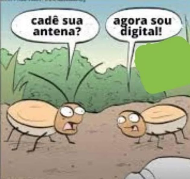 AnaliseDeCalvos's tweet photo. https://t.co/oQcUfji70B