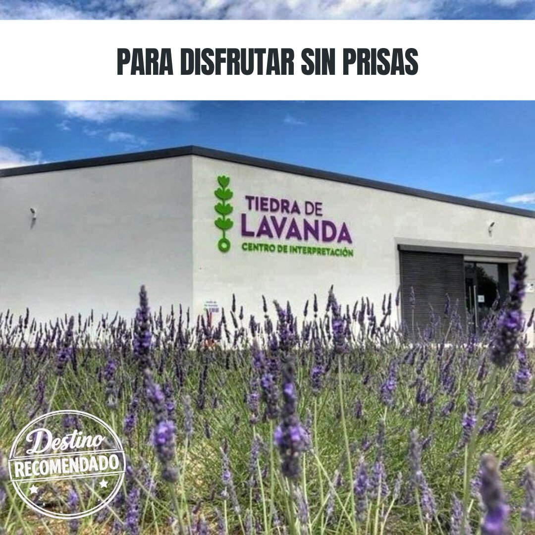 ArqueoTrip's tweet photo. Tiedra de Lavanda #TurismoCultural #EscapadaCultural @tiedradelavanda @CyLesVida @turvalladolid @Tiedra_ #AsociaciónAmallóbriga #ArqueoTripRecomiendaTIEDRA https://t.co/MSET1b0YIt