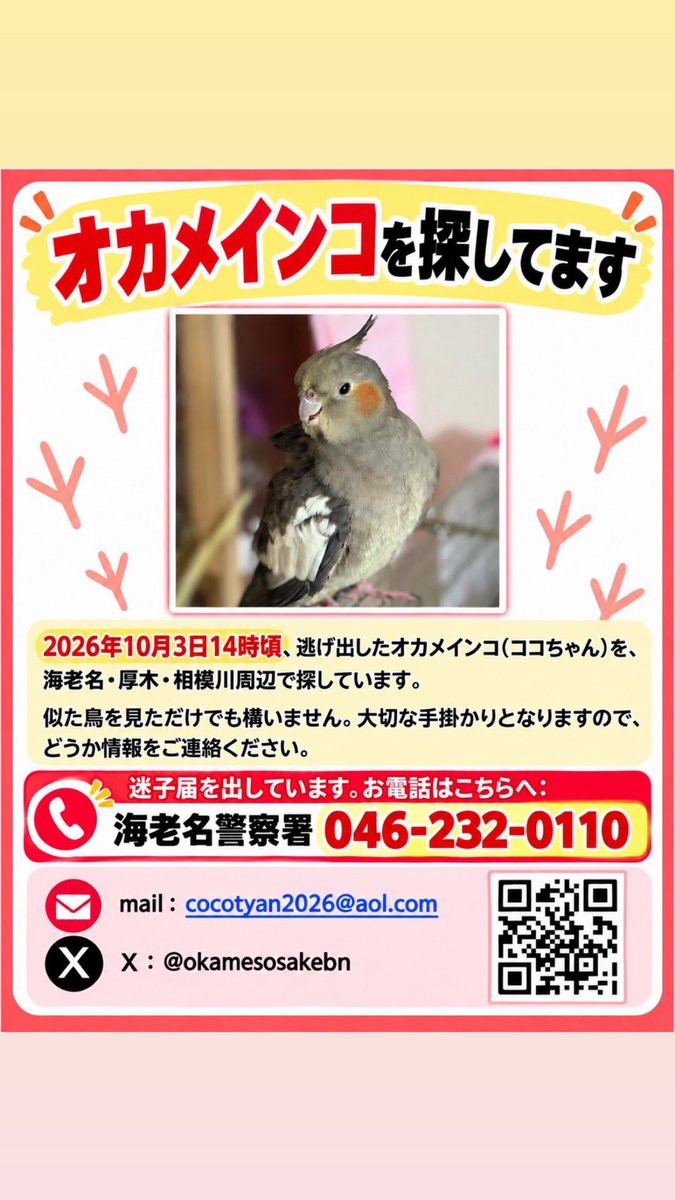 cocochan_cmb's tweet photo. ⚠️拡散希望⚠️
オカメインコのココちゃんを探してます

10/3 海老名市の相模川河川敷近くの
あるか幼稚園上空辺りで呼び鳴きしながら旋回し、姿が見えなくなりました

鮎まつり花火大会があるので
とても心配です
情報お願いします🙇

 #迷子インコ #本厚木
#オカメインコ #海老名
#鮎まつり https://t.co/dTirMzdDAV