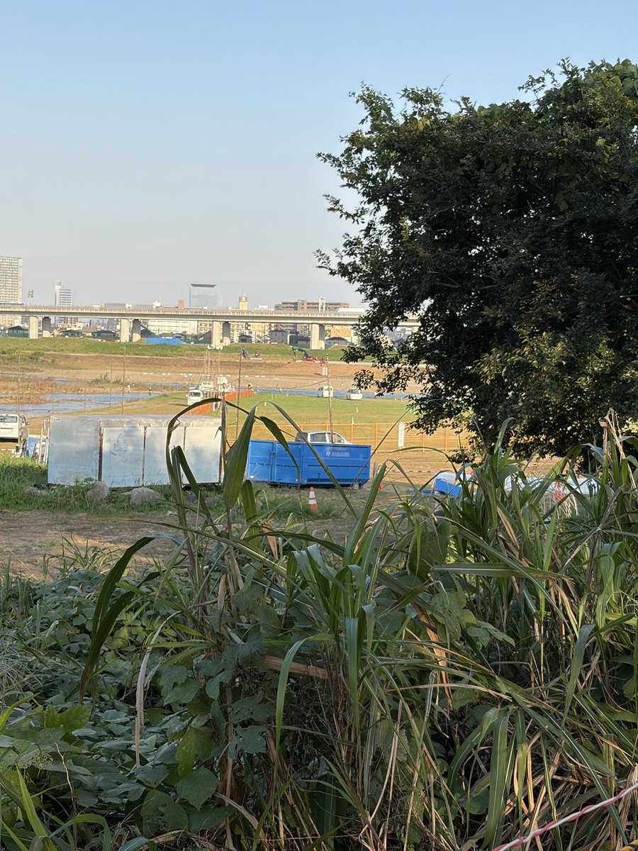 cocochan_cmb's tweet photo. ⚠️拡散希望⚠️
オカメインコのココちゃんを探してます

10/3 海老名市の相模川河川敷近くの
あるか幼稚園上空辺りで呼び鳴きしながら旋回し、姿が見えなくなりました

鮎まつり花火大会があるので
とても心配です
情報お願いします🙇

 #迷子インコ #本厚木
#オカメインコ #海老名
#鮎まつり https://t.co/dTirMzdDAV