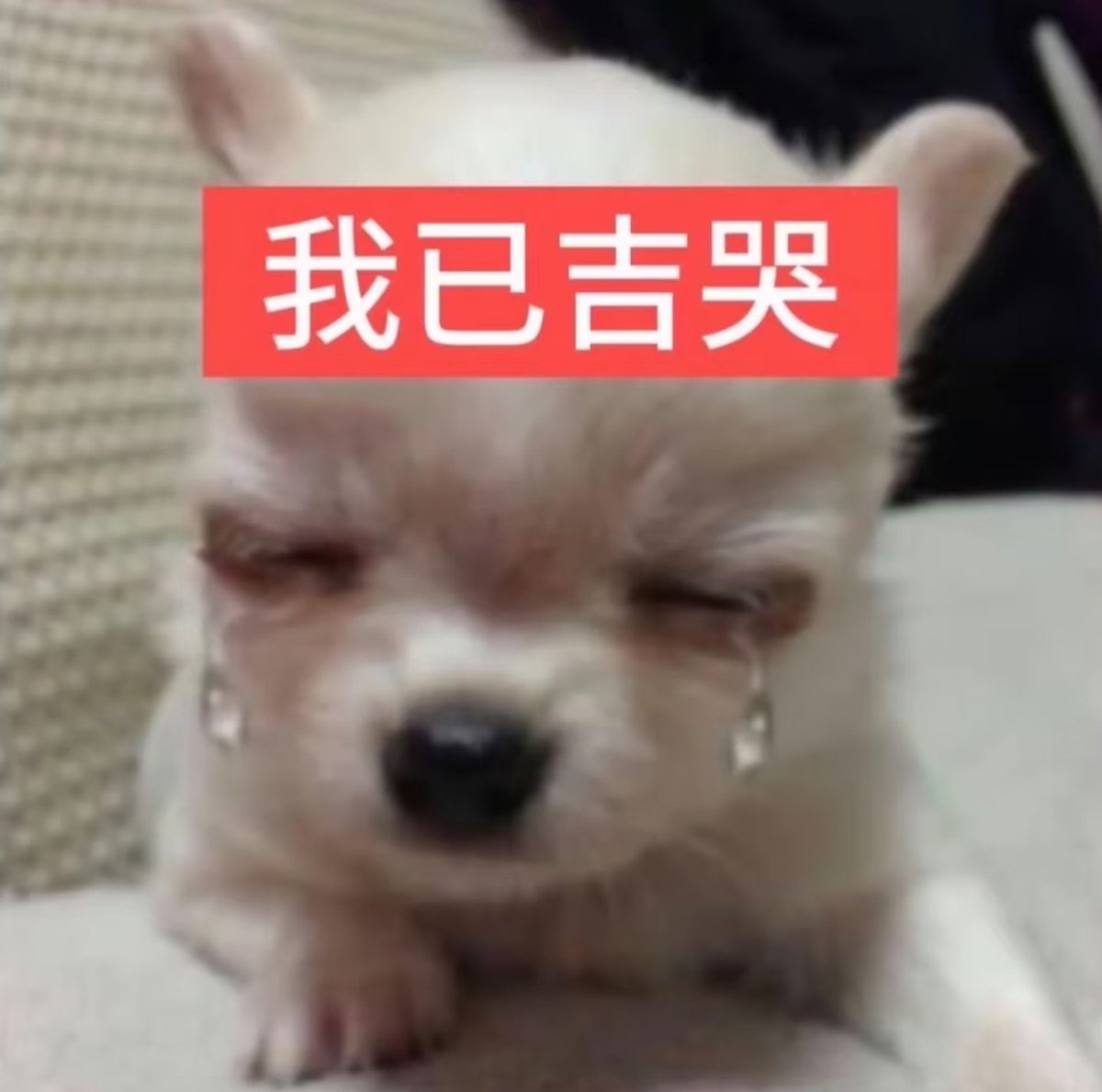 lesss_ttt's tweet photo. 无畏契约这个神经病游戏，我破防了，这群贱人，我真受够了，耍人很好玩吗 https://t.co/IowBWRwfIg