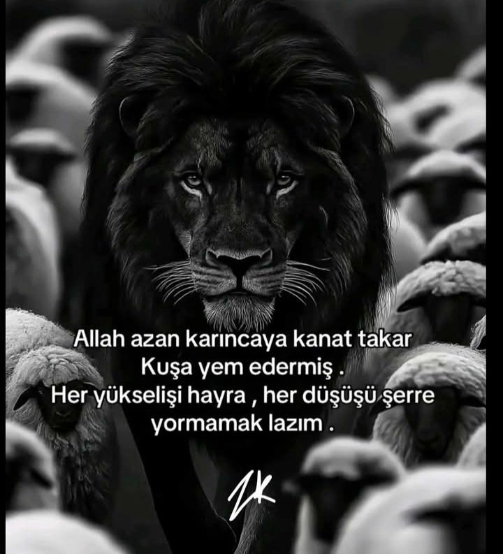 Hlya50808331's tweet photo. #iyigeceler https://t.co/WSVXHbISMs