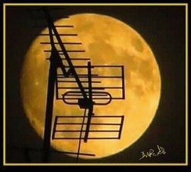 sirbarrilaro's tweet photo. ° The Old-Tech #FullMoon - #Rossio - #Lisboa Outubro de 2017
#CamaraMunicipalDeLisboa #CarlosMoedas
@sirbarrilaro #sirbarrilaro © 2017 #artphotography #SelfRecording #AnatomicTheater #MusicVideo #PortableComputerVideos #Coimbra #PrincipeReal #Chiado #BairroAlto #Alfama ° https://t.co/wLIw49FWn4