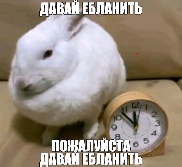 missamiji's tweet photo. подруга сказала что мы будем учиться на уроках https://t.co/hwV2mlM5kF