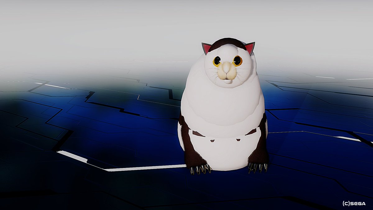 acepiec2's tweet photo. #PSO2NGS

ハァ？　

猫ミーム https://t.co/sQuNkabbPj