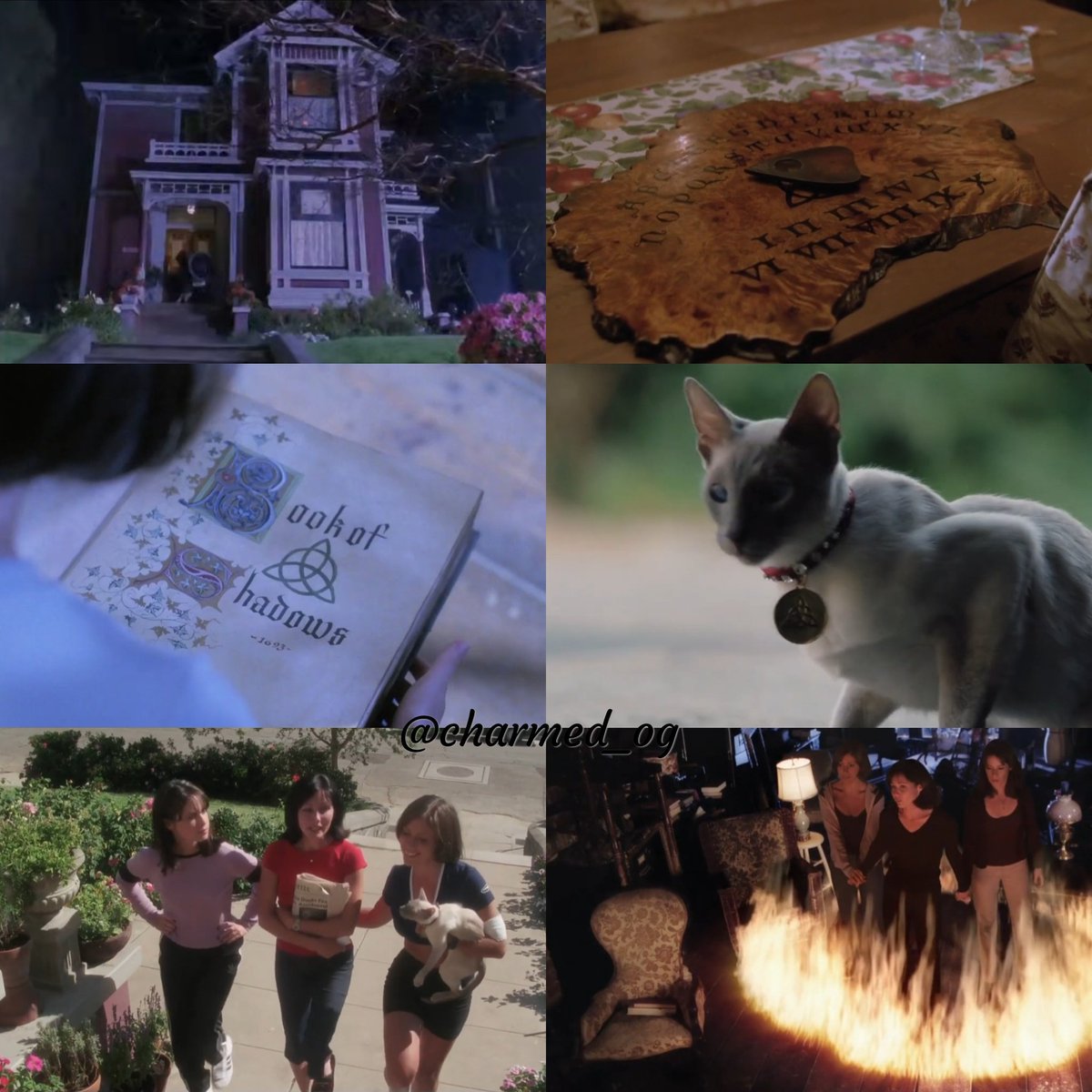 charmed_og's tweet photo. Life Changed! 🔮🧙🏻‍♀️ https://t.co/MzPAKrSjfK