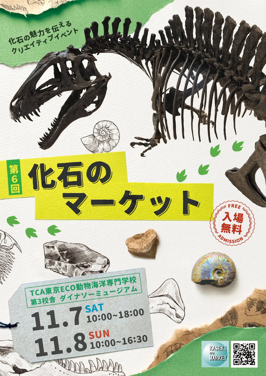 kasekinomarket's tweet photo. 第6回化石のマーケットプレゼント企画第6弾🎁
北海道産化石の専門店【文楽】さんより提供 
・北海道のアンモナイト化石
　産地別3点セットを2名様
応募方法▼  
①@kasekinomarketをフォロー
②この投稿を「リポスト」
〆切は10/17 23:59 
当選者様は当会よりDMで連絡 
#アンモナイト #古生物 https://t.co/uzGxCkOODI
