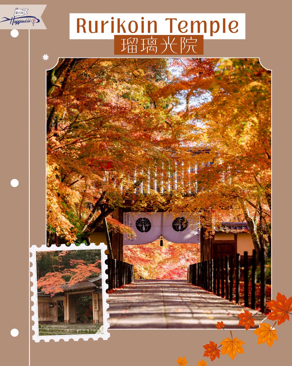 Peeh_Secret's tweet photo. Kyoto’s hidden gem, Rurikoin Temple, opens only twice a year. See autumn foliage reflected on its lacquered table and wander the serene moss garden of Ruri-no-Niwa. A magical escape from the city. https://t.co/Ni4hSRZKQh