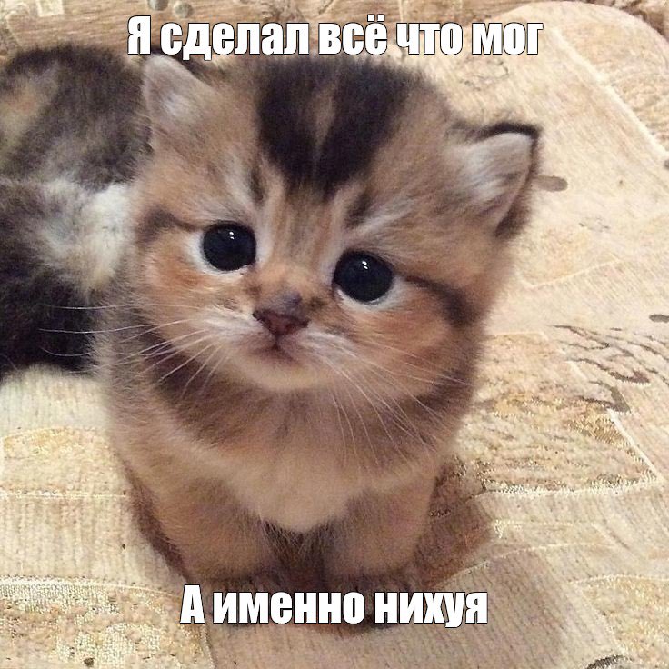 hygge1b's tweet photo. пришла напомнить, что ф2п — это НЕ бойкот. куча людей играют в игры ф2п. 

бойкот — это когда ты полностью бойкотируешь компанию. точка. 

если вы улучшаете показатели игры, если вы показываете, что готовы оставаться, даже если о вас вытирают ноги и игнорируют вас 3 месяца, если вы флиртуете с компанией и открыто даете им понять, что в теории вас снова можно купить (а ф2п подразумевает, что вы всё ещё потенциальный покупатель платного контента) — вы НЕ бойкотируете.

апдейт: так как речь, вероятно, может идти о том, что «я же не играю и не доначу, так что не называйте меня мирной», то хочется добавить и второе напоминание: 

об этом нужно было думать ДО того, как начали называть других экстремистскими радикалками и призывать репортить за хэштеги. 

кстати, я за мирных эту цирковую труппу никогда и не считала. в моих глазах они вполне себе радикалки, просто про-ппг, а не про-Валко. 

#PapergamesRuinsCNGaming #BoycottPapergames #NoValkoNoMoney