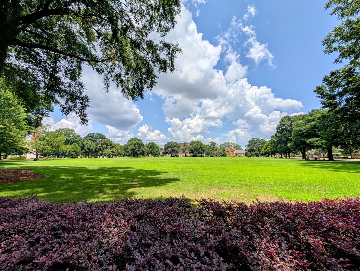 BrunoLibrary's tweet photo. Reminder: Bruno and Gorgas will both be closed tomorrow, Saturday (10/10) due to the Home Game.
We will reopen Sunday, (10/11) at 11am.

For more information, please visit: https://t.co/zPR9hDonlh

#WhereLegendsAreMade https://t.co/405zEWMsj7