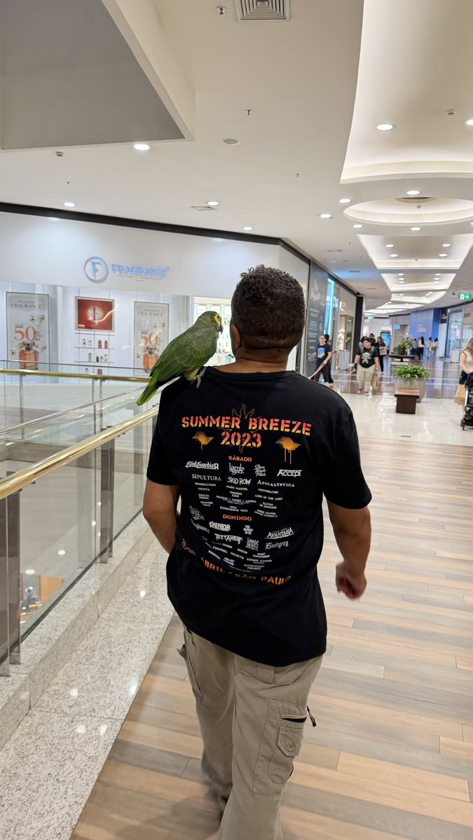 DevCritico's tweet photo. Cheguei no shopping, peguei elevador, olhei pro lado… um papagaio me encarando.

O parceiro levou o papagaio pra dar rolê, dahora. https://t.co/xf5uBvo49V