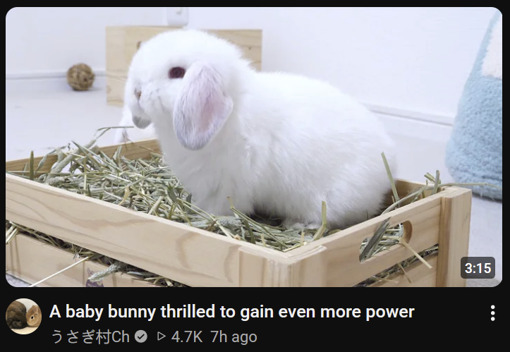 umhamsterlammy's tweet photo. oh my god. somebody stop them https://t.co/N2JS9rgl3p