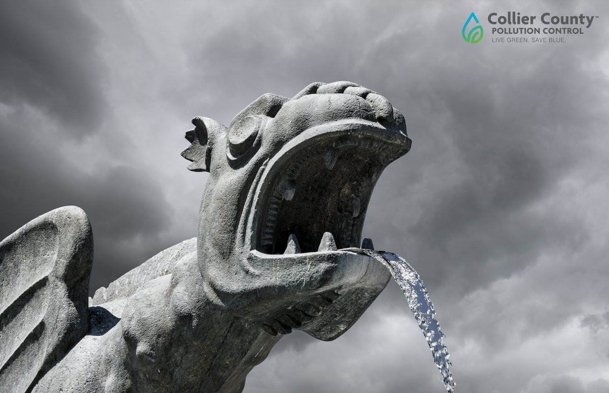 CollierGov's tweet photo. Gargoyles: Spooky and Practical!

They may look decorative, but before modern gutters and downspouts, gargoyles were the original stormwater management system! To prevent erosion, gargoyles aimed rainwater away from stone walls.

#LiveGreenSaveBlue https://t.co/3liefvCra6 https://t.co/dipXrlqvCU