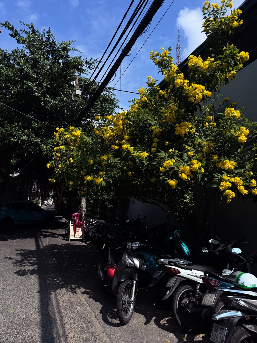 YOLIENID's tweet photo. Saigon, Anh Yêu Em! https://t.co/gTFy30eo0d