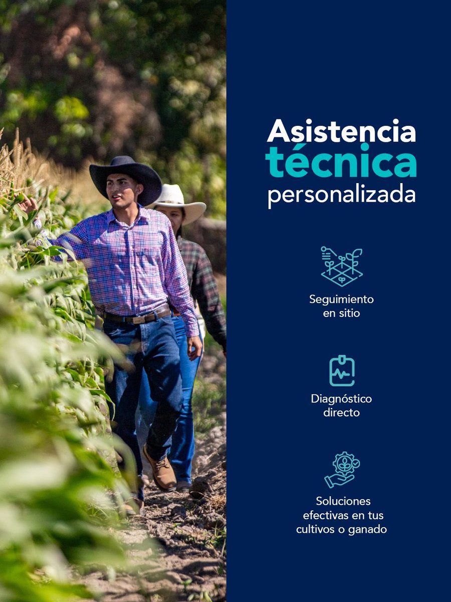 AgriculturaSV's tweet photo. Detrás de cada llamada y cada mensaje hay un equipo de técnicos especialistas listos para brindarte atención integral. https://t.co/5sSkmvm9EL