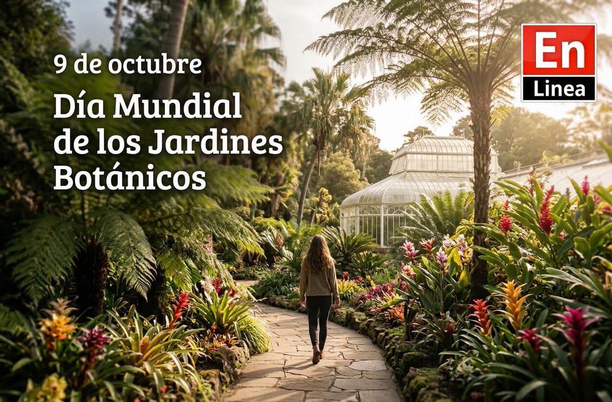 RuthTransp's tweet photo. 🌿 ¡HOY CELEBRAMOS EL DÍA MUNDIAL DE LOS JARDINES BOTÁNICOS! 🌺

Cada segundo viernes de octubre nos unimos para reconocer el valor fundamental de estos espacios dedicados a la conservación, investigación y preservación de la biodiversidad vegetal en nuestro planeta. 🌎✨ https://t.co/iopYAkl2yG