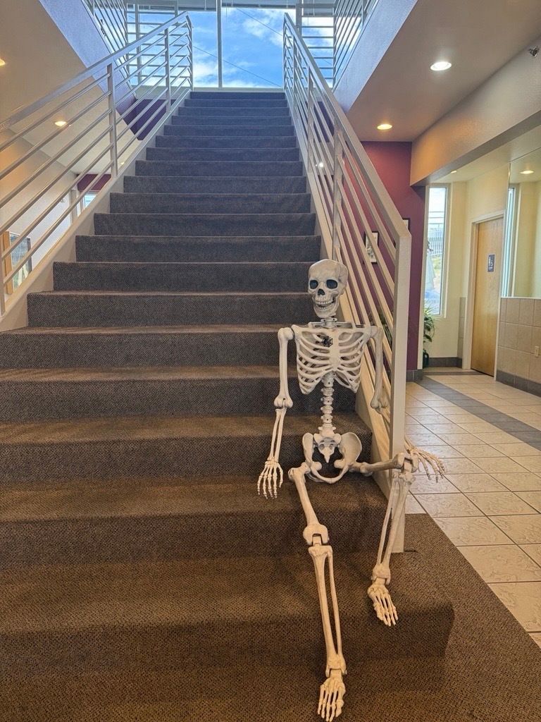 BioScienceCtr's tweet photo. Our skeleton crew is back for another season! 💀🍂

This year, they’re taking on new responsibilities, from greeting visitors to squeezing in a little foosball between experiments.

At The BioScience Center, even the dead can’t resist a little innovation! 🧪 https://t.co/C8VhaSxHAl