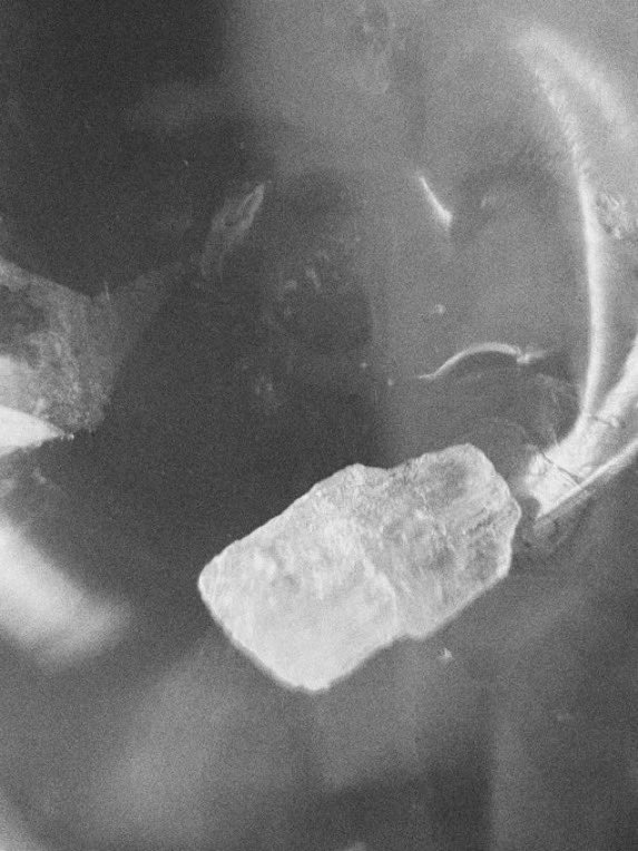 Micoluv's tweet photo. honey, im home 

#meth #methtwt #criko
#drugtwt #shedtwt #nsfw https://t.co/OQ46tX4aHC