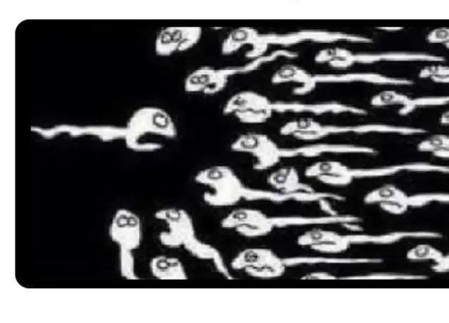 pastortoxic_'s tweet photo. Rudini Tate Hana  fallopian tubes 😂 https://t.co/FIOYrFvAcq