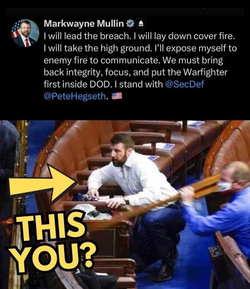 Brunchbull's tweet photo. @3reecrossing Fuck @SecMullinDHS, that coward pussy bitch https://t.co/gywRzZjltS
