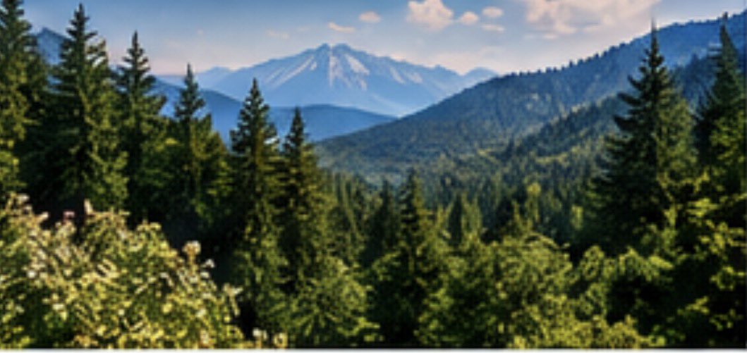 NikolaMarko12's tweet photo. 🌲 Природата не може сама да се заштити од несовесноста. Не фрлајте отпад во шуми, не палете оган на ризични места и пријавете чад или пожар навреме. Малку одговорност може да спаси многу! 💚 #Природа #Шуми #Македонија https://t.co/MB3jIEHwYT