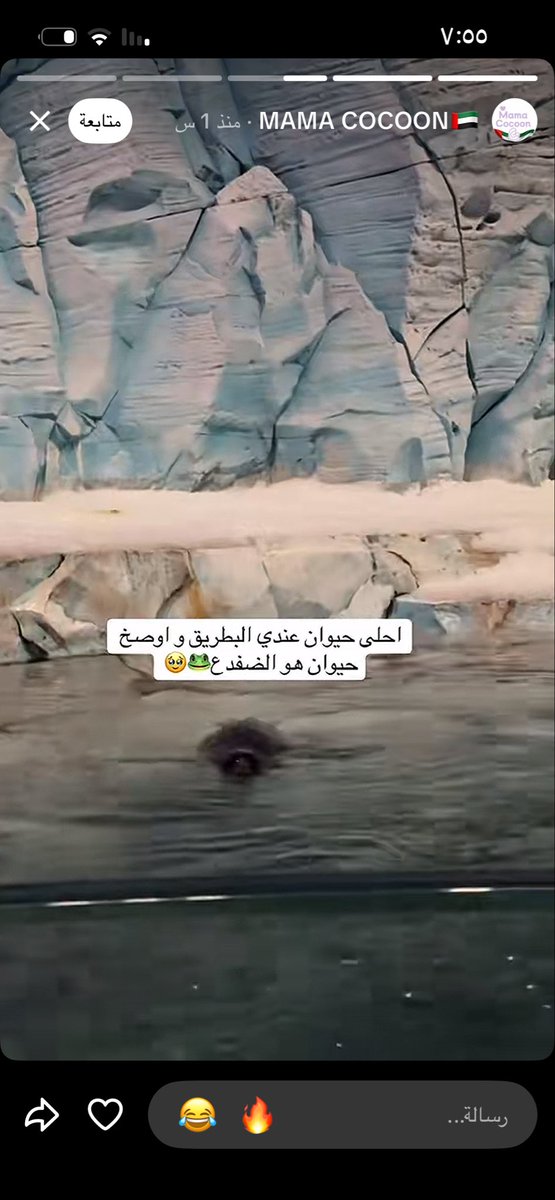 fahad3ryi's tweet photo. فزتو باخلاقكم نحن تربيه زايد ؟؟! #الامارات #السعودية #ابراهيم_الفريان https://t.co/r3PDgYTkSJ