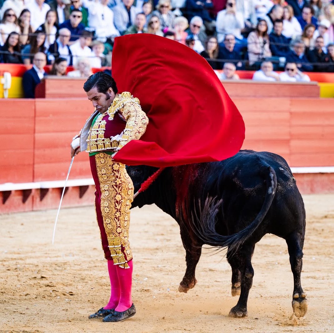 MarcosFdezFlors's tweet photo. Morante de la Puebla en Valencia. https://t.co/YxuQU9uIFy