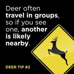 GreeneCoPH's tweet photo. 🦌 Deer are on the move! As fall arrives, watch for deer crossing roadways—especially at dawn and dusk. Slow down, stay alert, and be ready to stop. One moment of caution can prevent a serious crash. 🚗

#SafeCommunities #SafeDriving #DeerSafety #GCPH https://t.co/B7WSntKHyq
