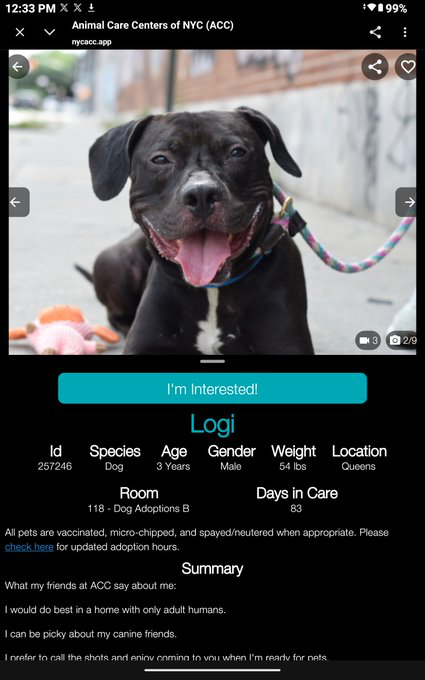adoptadog39's tweet photo. #LogiDay #dogoftheday

This adorable good boy is ready for a new home! 
Logi is a smart, happy, loving boy!

#nycACC #nyc #newYork
#adopt #foster #rescuedog https://t.co/GnPuLTtBzg