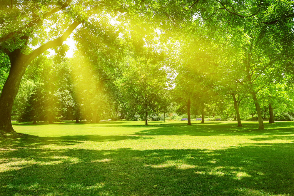 BethFratesMD's tweet photo. "Each one has to find his peace from within. And peace to be real must be unaffected by outside circumstances." Mahatma Gandhi
#FridayThoughts #FridayMotivation #InnerPeace #MindBody #Mindfulness #Health #HealthCoach https://t.co/LG9frC1IAK