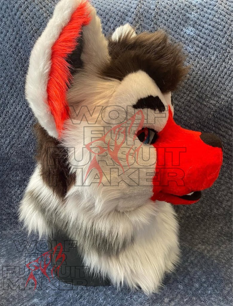 Wolfurfursuits's tweet photo. Unfortunately I wasn’t able to get to many photos of this grumpy boyo but I think he turned out cute 💕 I don’t get to work with red often!
#fursuit #fursuitmaker #fursuitcomission #yeen #yeenfursuit #furryfandom #furrypride https://t.co/ID6wCGWgiy