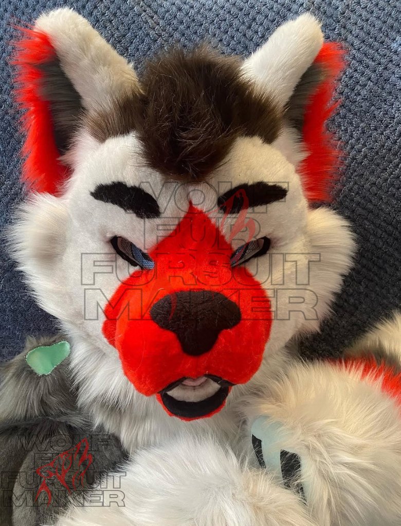 Wolfurfursuits's tweet photo. Unfortunately I wasn’t able to get to many photos of this grumpy boyo but I think he turned out cute 💕 I don’t get to work with red often!
#fursuit #fursuitmaker #fursuitcomission #yeen #yeenfursuit #furryfandom #furrypride https://t.co/ID6wCGWgiy