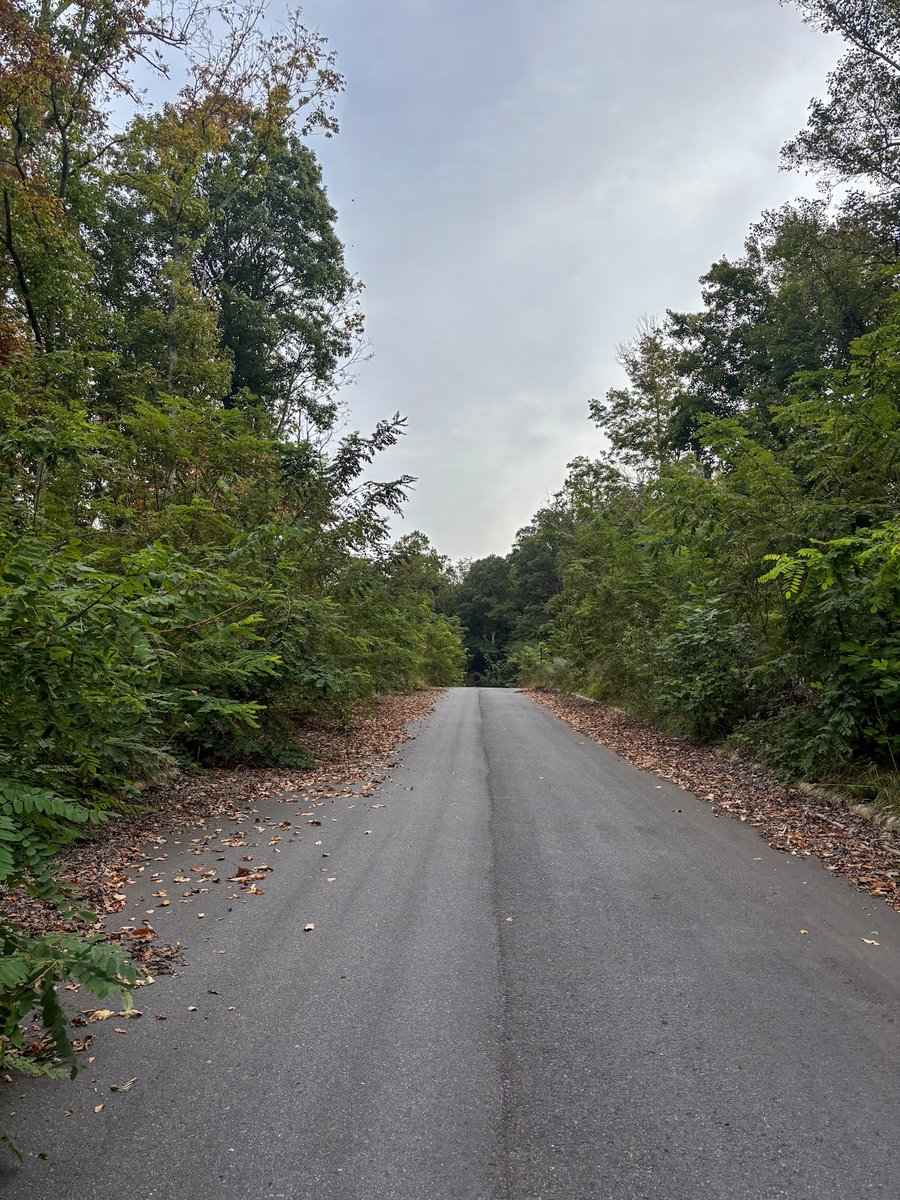GoTourists's tweet photo. How was your morning run?

Keep those miles going and join us next Saturday, October 17 at 8 AM for the Downtown Diamond Dash 5K! 💎🏃‍♂️

💥 Don’t forget to sign up and be part of the first-ever Downtown Diamond Dash!

🎟️ Register here: https://t.co/JEQ1TwsAVp https://t.co/rEumcx1B8g