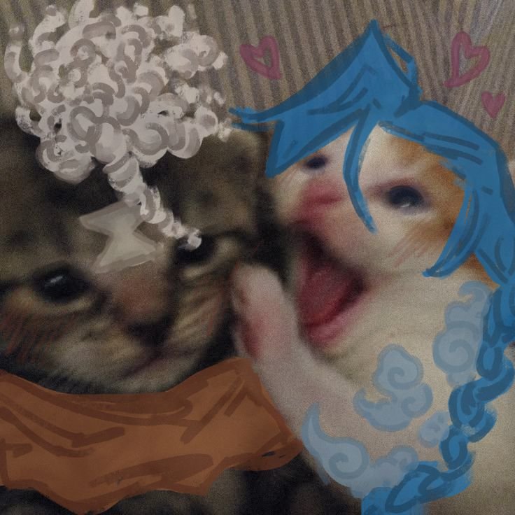sillylilchomper's tweet photo. kittybomb!!! https://t.co/KLtgDd0WGn