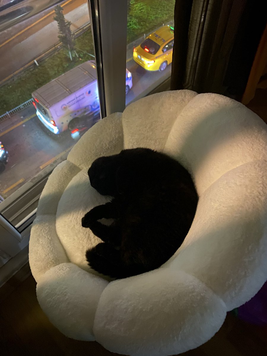 bubblegumcyy's tweet photo. butunlestik diye dusunmustum yin ve yang https://t.co/gR0Ynl4KT1