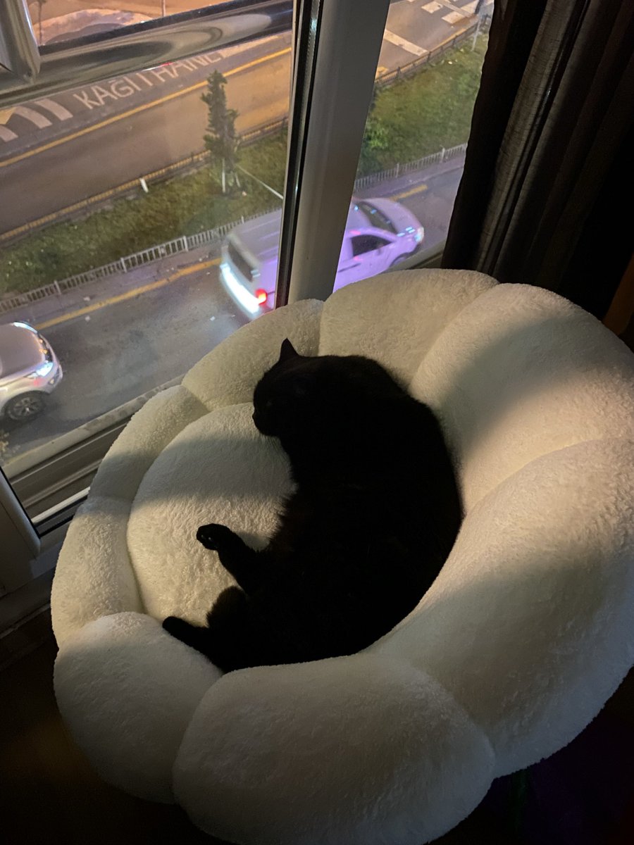 bubblegumcyy's tweet photo. butunlestik diye dusunmustum yin ve yang https://t.co/gR0Ynl4KT1
