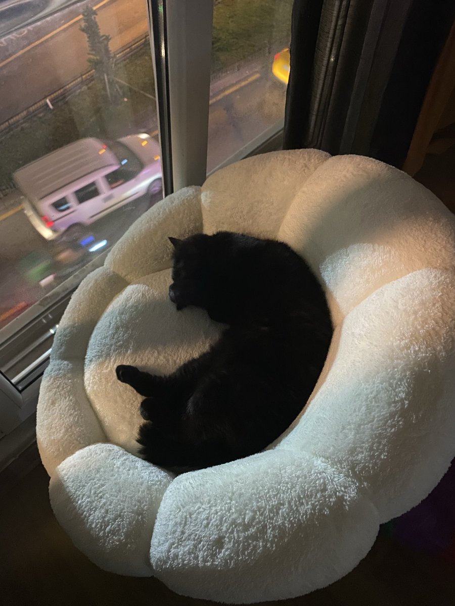 bubblegumcyy's tweet photo. butunlestik diye dusunmustum yin ve yang https://t.co/gR0Ynl4KT1