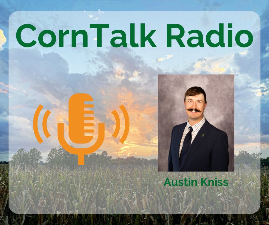 NeCGA's tweet photo. This week on #NECornTalk, meet new NE Corn Board Director Austin Kniss from Nebraska’s Panhandle as he shares his perspective on joining the board and representing Nebraska’s corn industry.

Listen here: https://t.co/TF1QJ5D1If https://t.co/cuYi7nYKoZ
